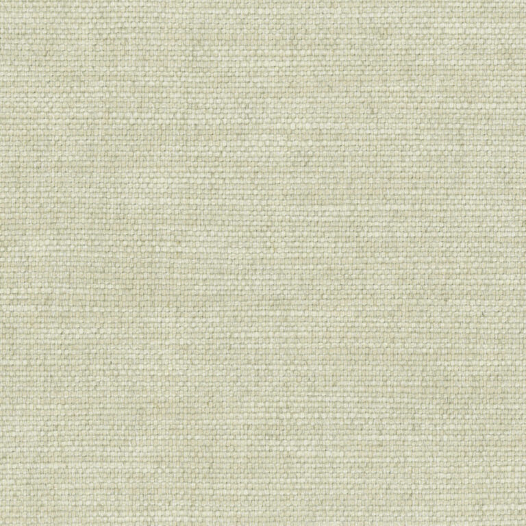Birch  10