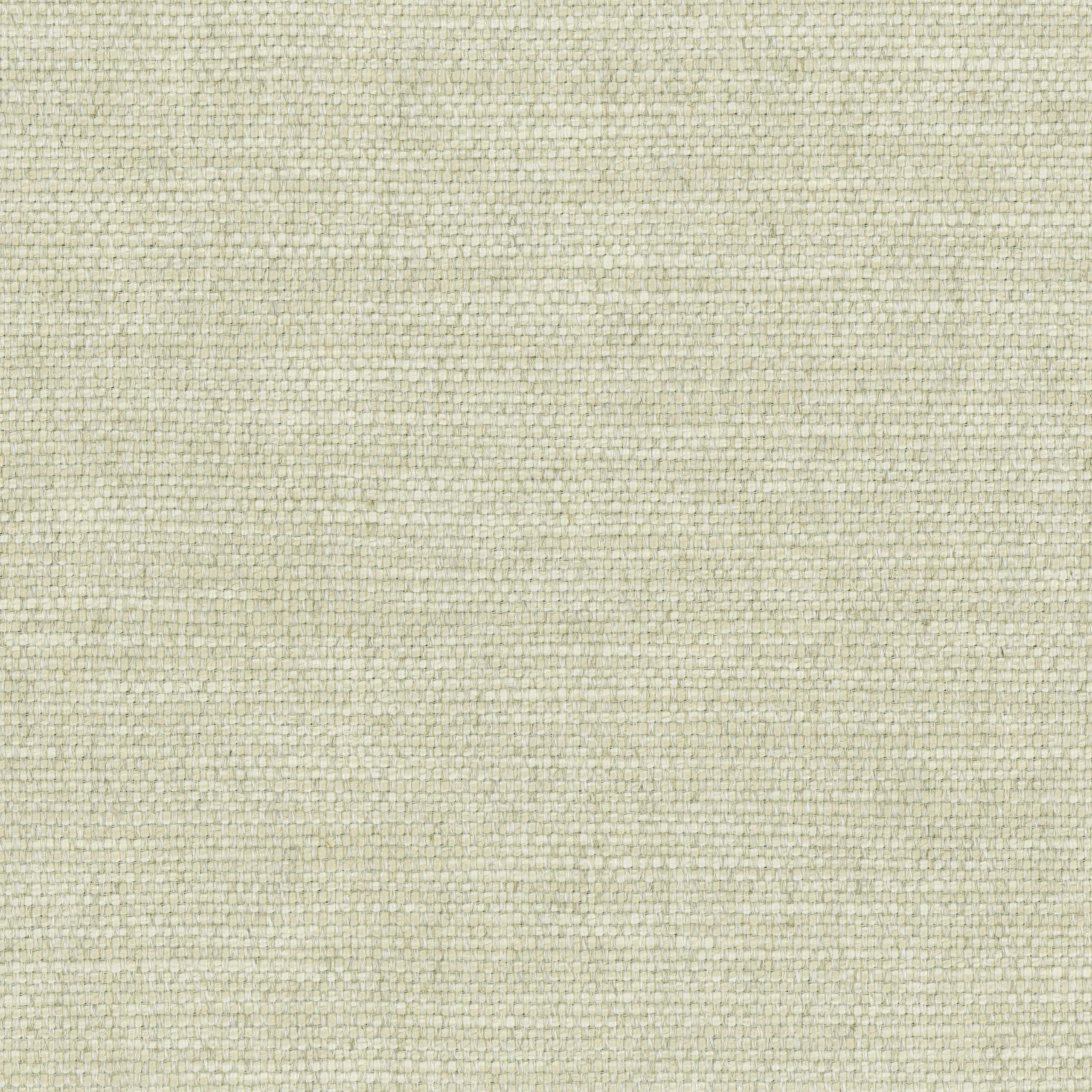 Birch 10 | Gobi