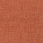 Sun Baked 43 | Gobi