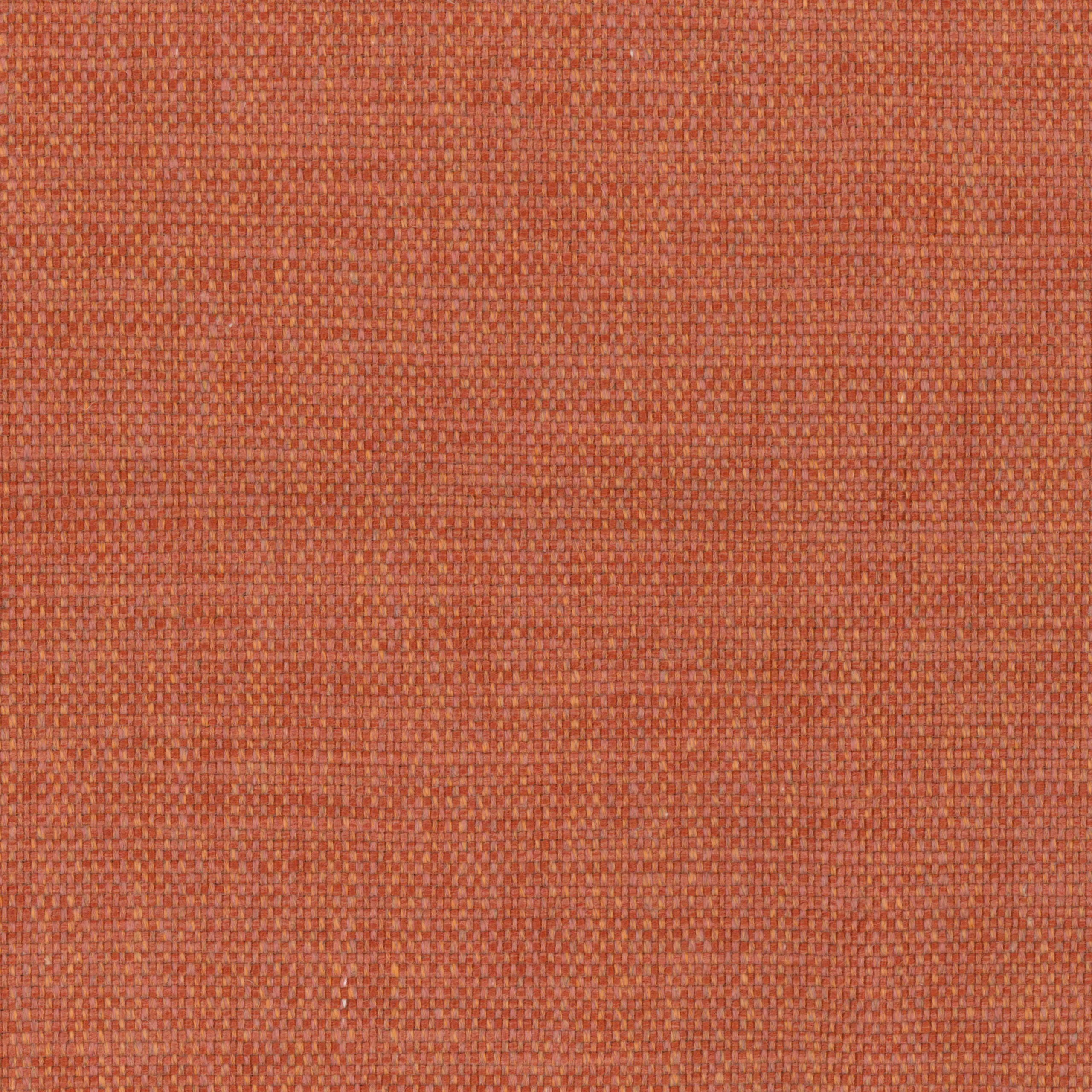 Sun Baked 43 | Gobi