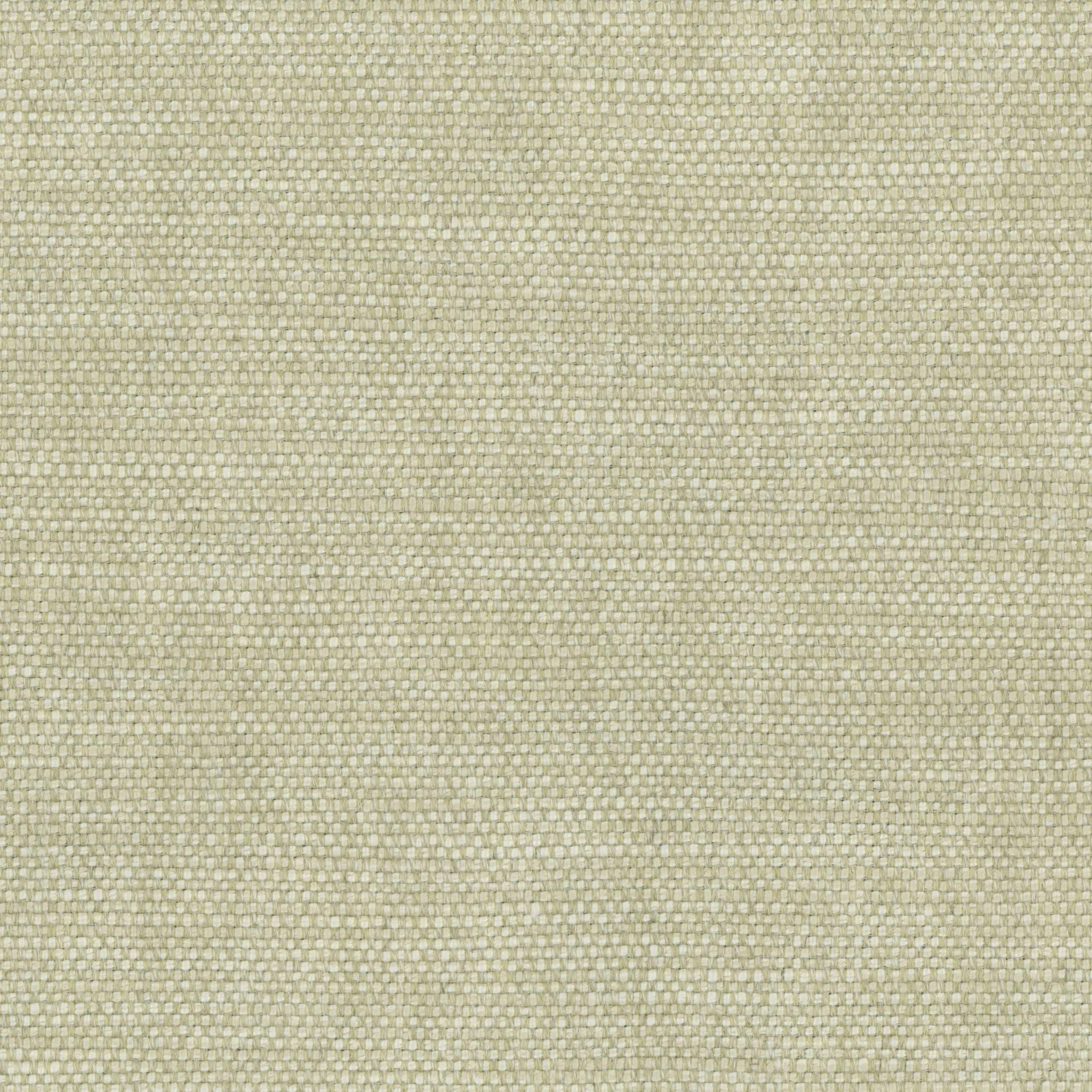 Oatmeal 61 | Gobi