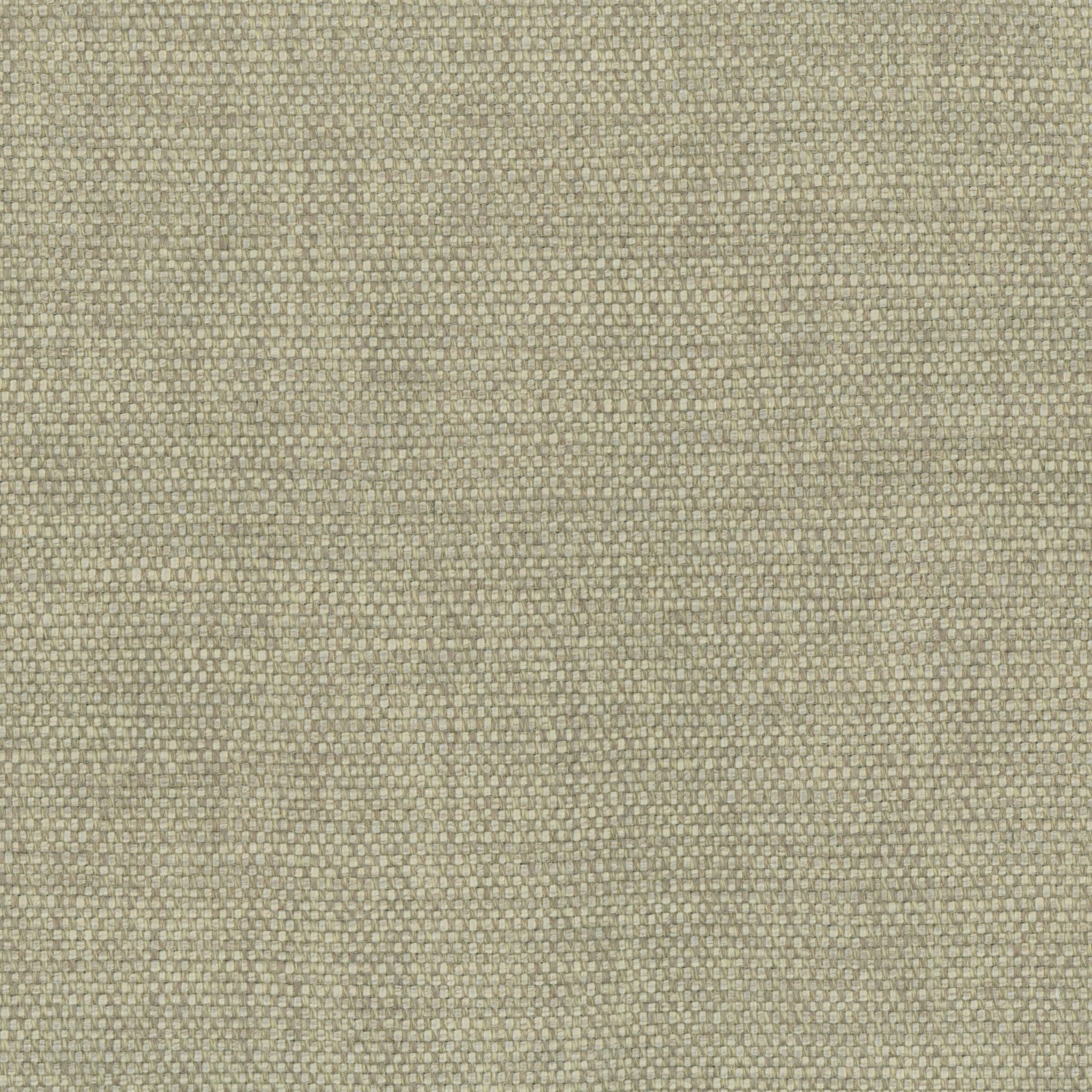 Feather Gray 65 | Gobi