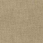 Safari 82 | Gobi