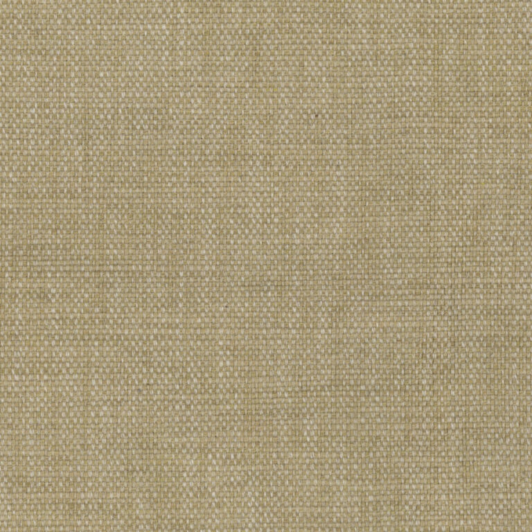 Safari  82