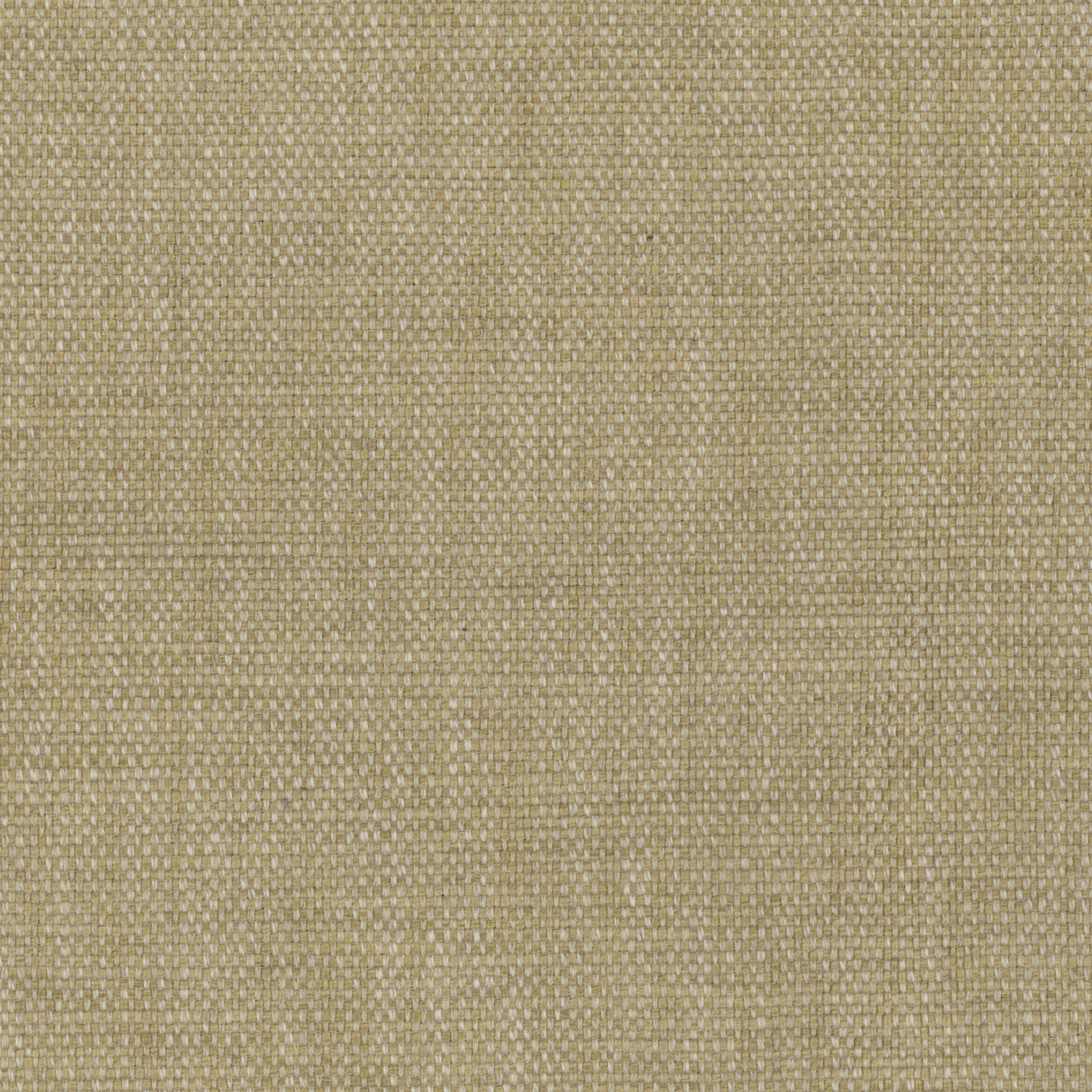 Safari 82 | Gobi