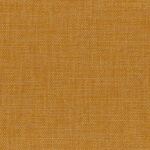 Bright Gold 83 | Gobi