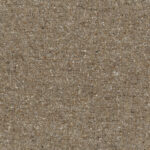 Almond 07 | Granola