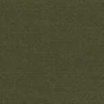 Iguana 07 | Bouclé