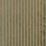 Camel 06 | Graziano