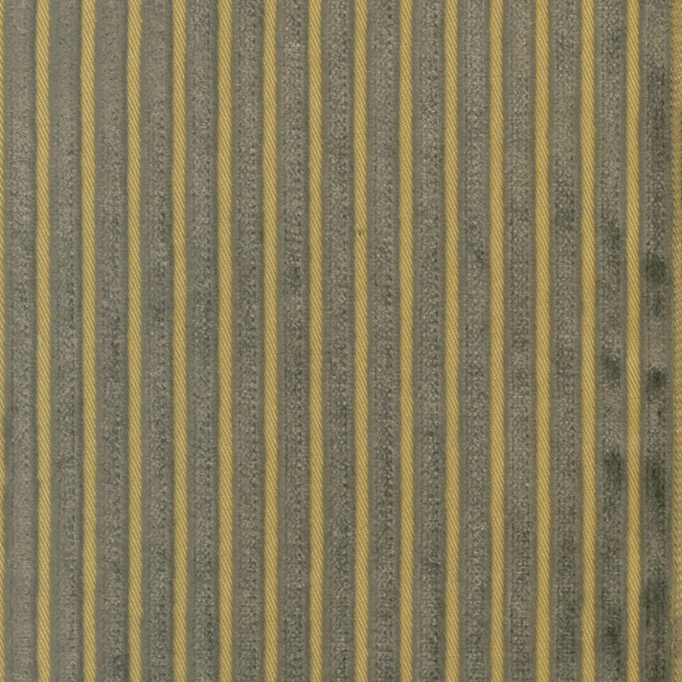 Camel 06