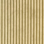 Butterscotch 10 | Graziano