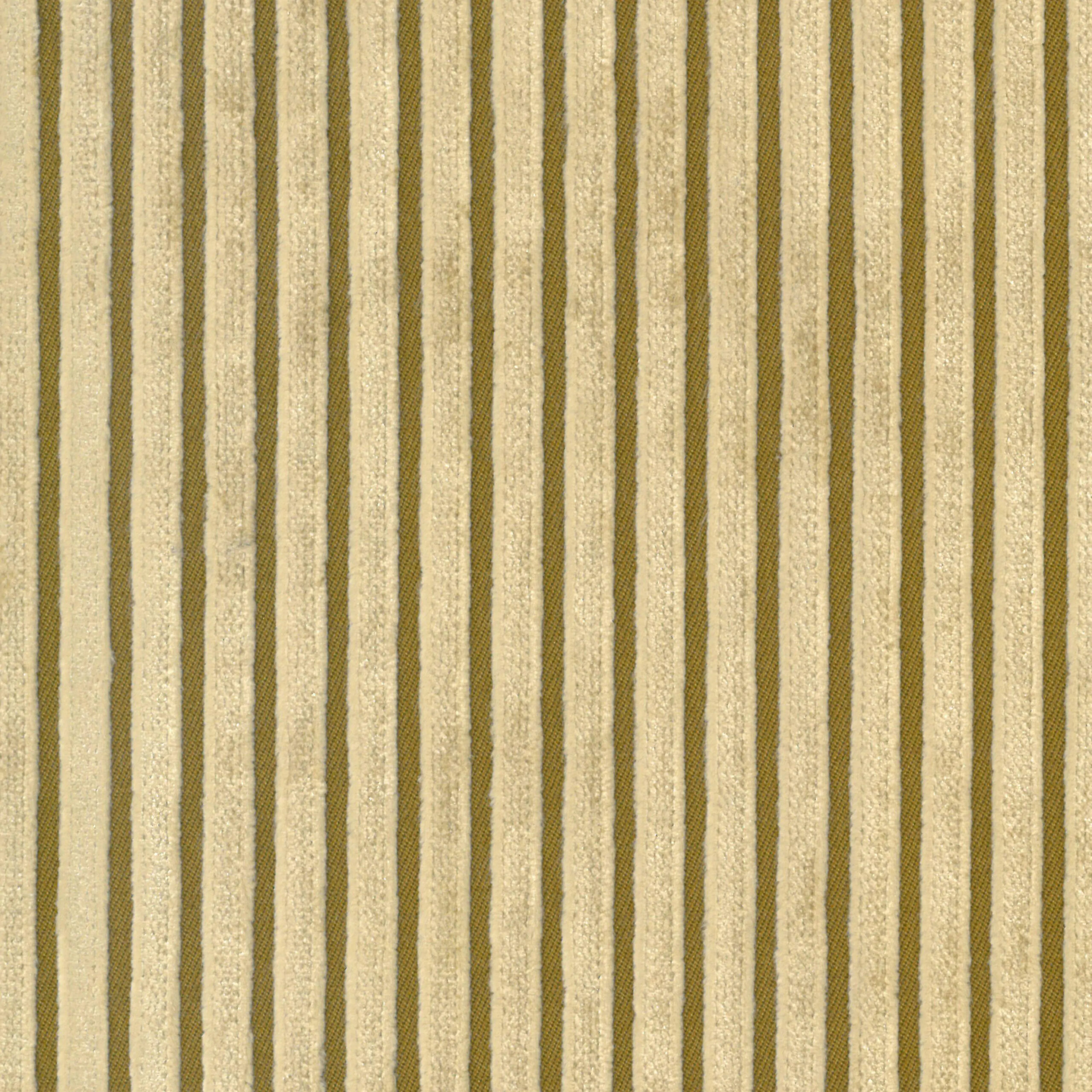 Butterscotch 10 | Graziano