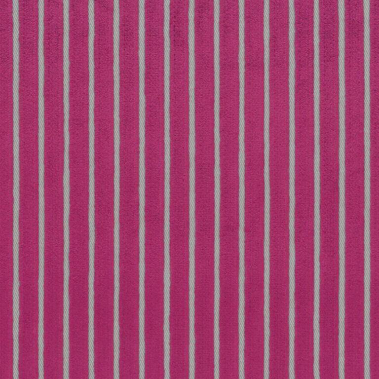 Fuchsia 12