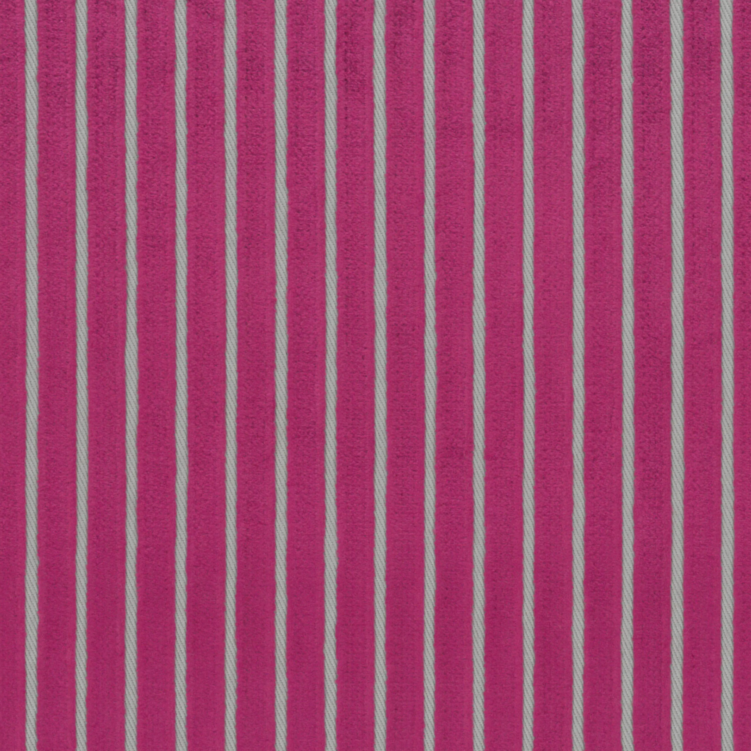 Fuchsia 12 | Graziano