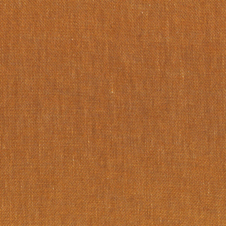 Camel 31