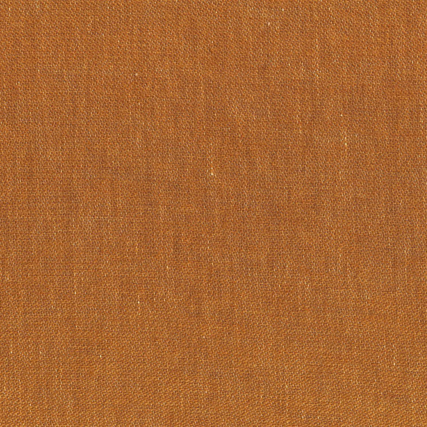 Camel 31 | Harmony