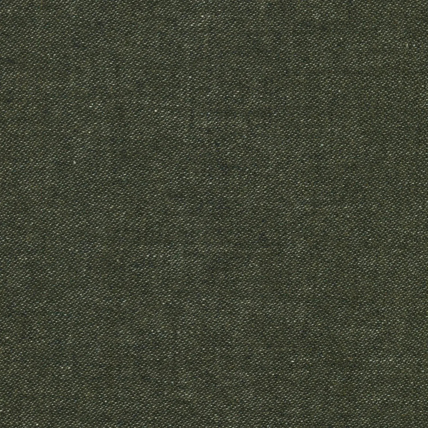 Pine 36 | Harmony