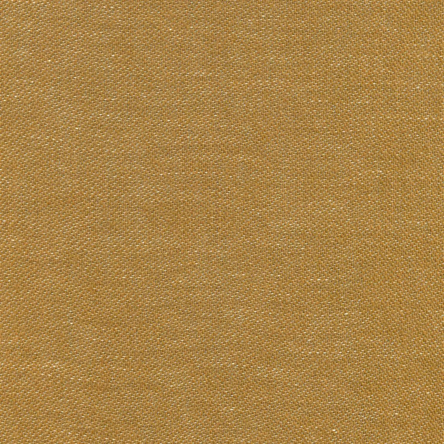 Spice 38 | Harmony