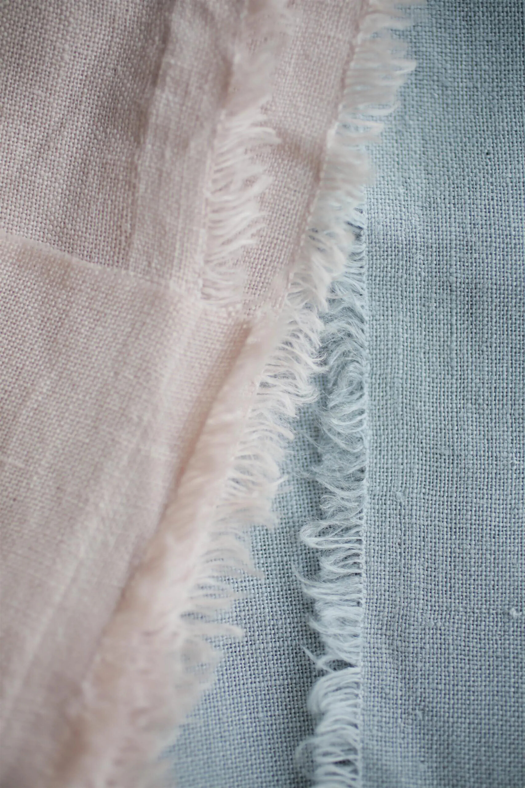 Rosa | Hedone