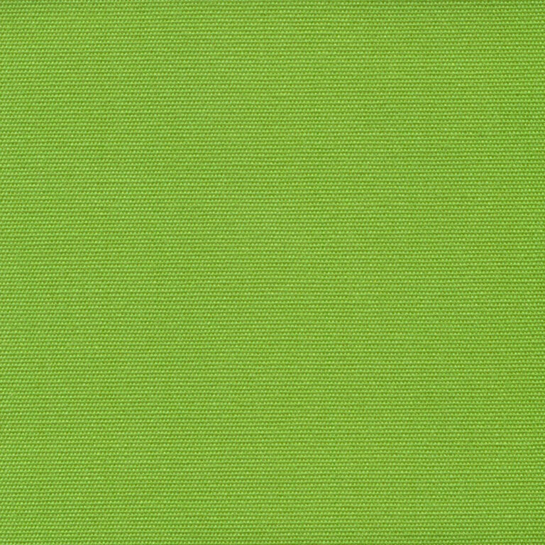 Apple 81