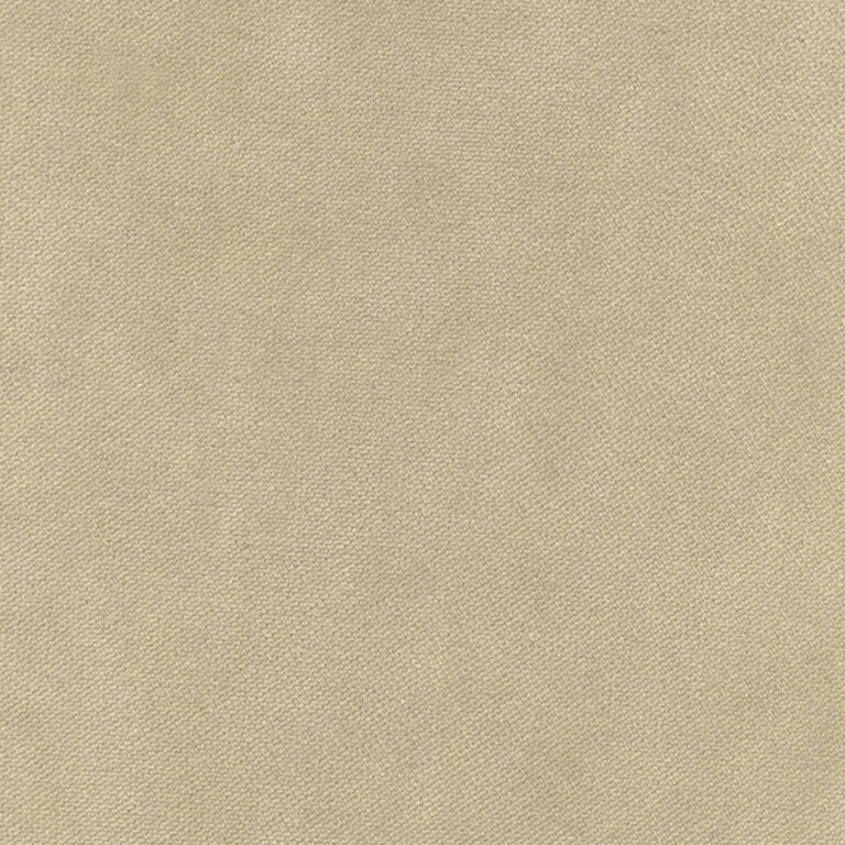 Pelican 059