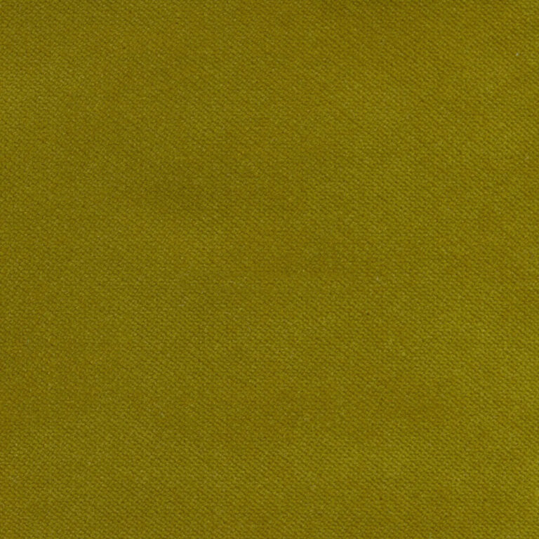 Kiwi 181