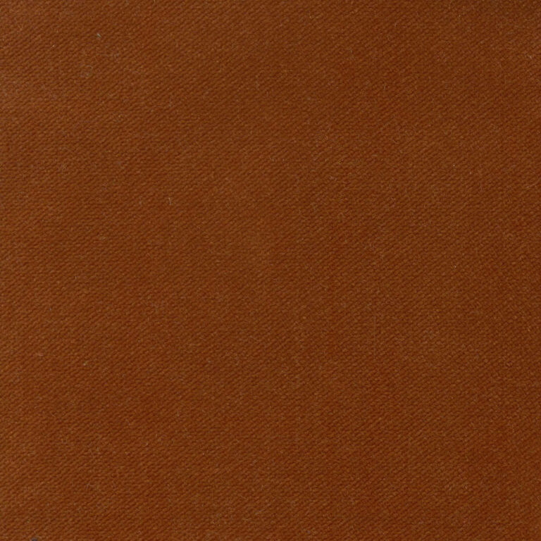 Squirrel 195