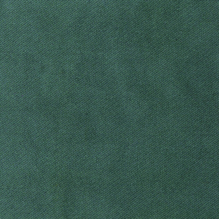 Forest 211