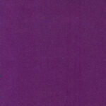 Violet 232 | Henry Fr