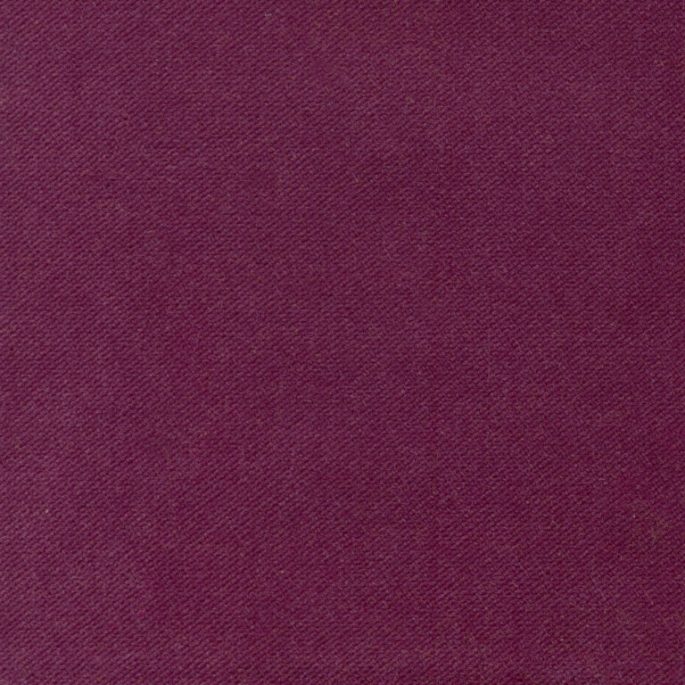 Dahlia 233