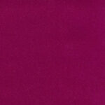 Fuchsia 234 | Henry Fr