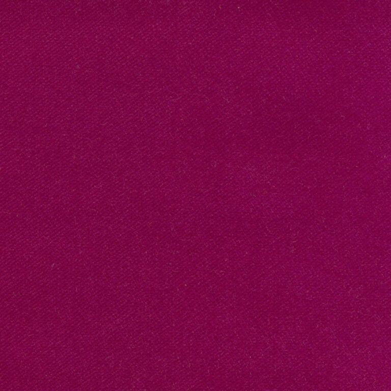 Fuchsia 234