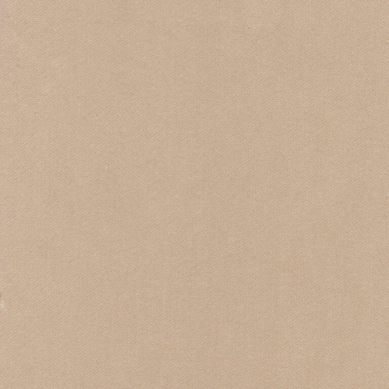 Camel 407