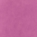 Crocus 436 | Henry Fr