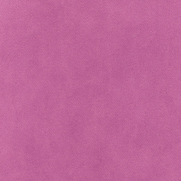 Crocus 436