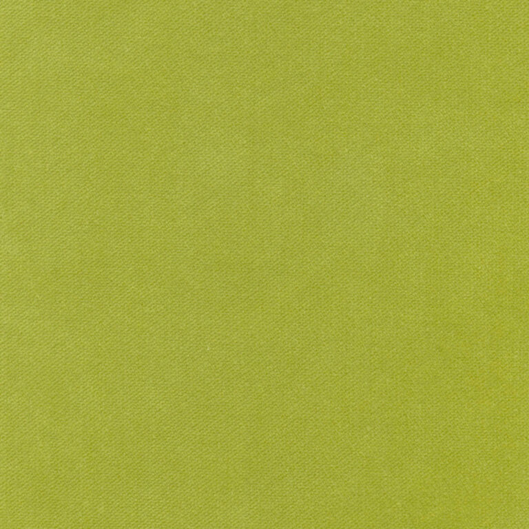 Apple 448