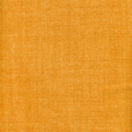Turmeric 40 | Hermes Fr