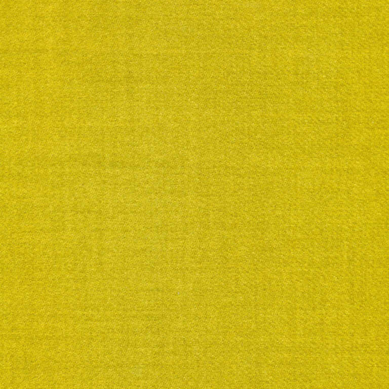 Grass 41