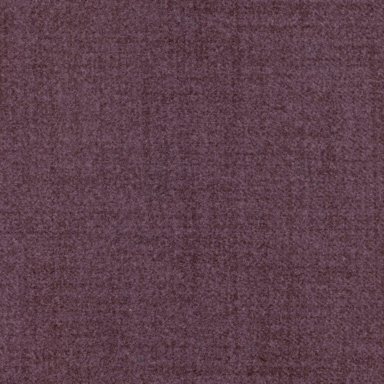 Aubergine 71