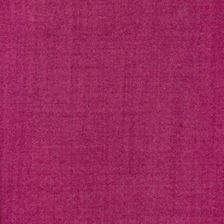 Fuchsia 72