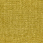 Pear 69 | Chenille
