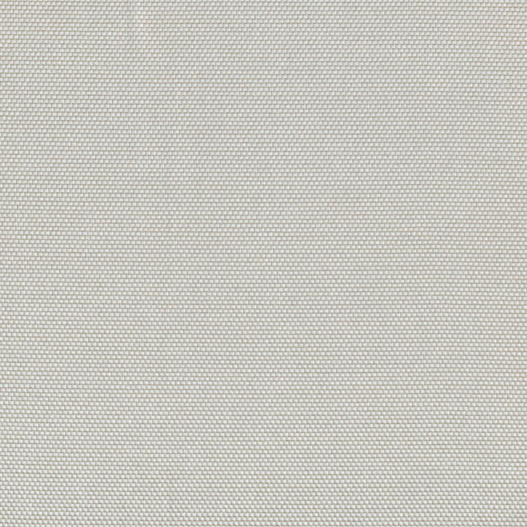 Silver 04