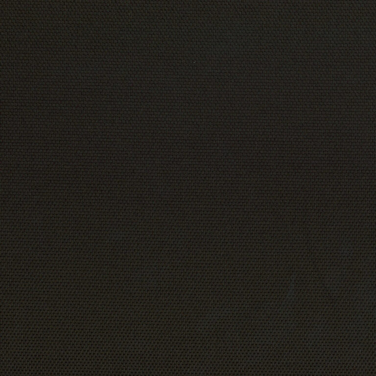 Onyx 09