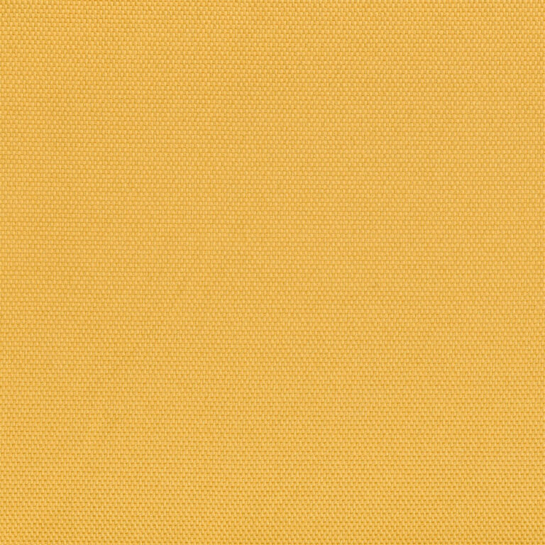Sunflower 14