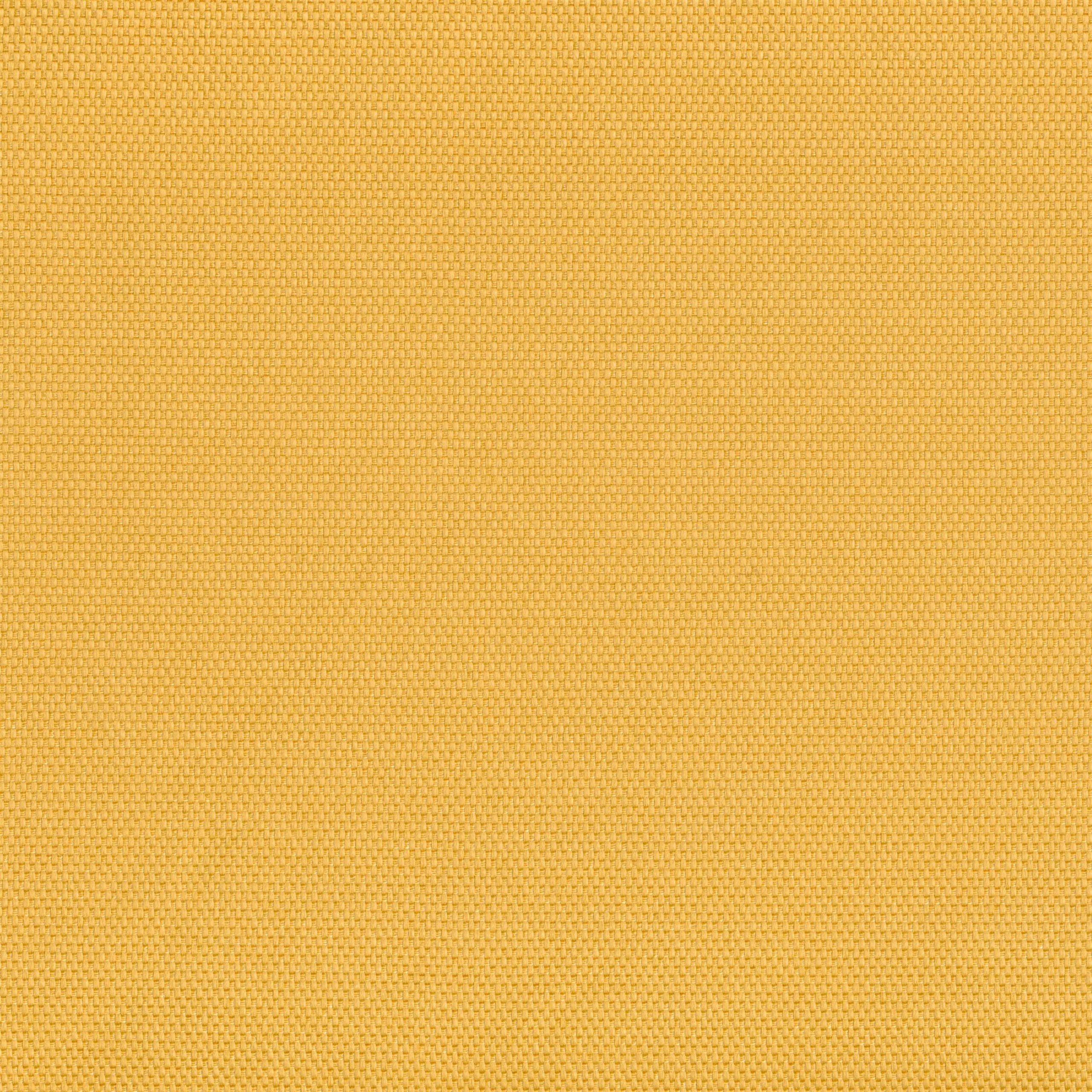 Sunflower 14 | Hillary