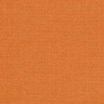 Apricot 15 | Hillary