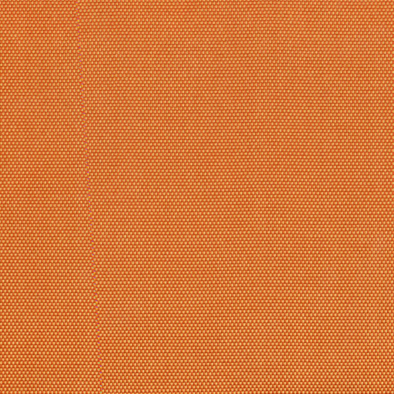 Apricot 15