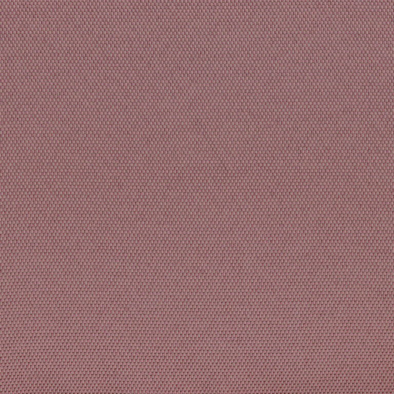 Lilac 27
