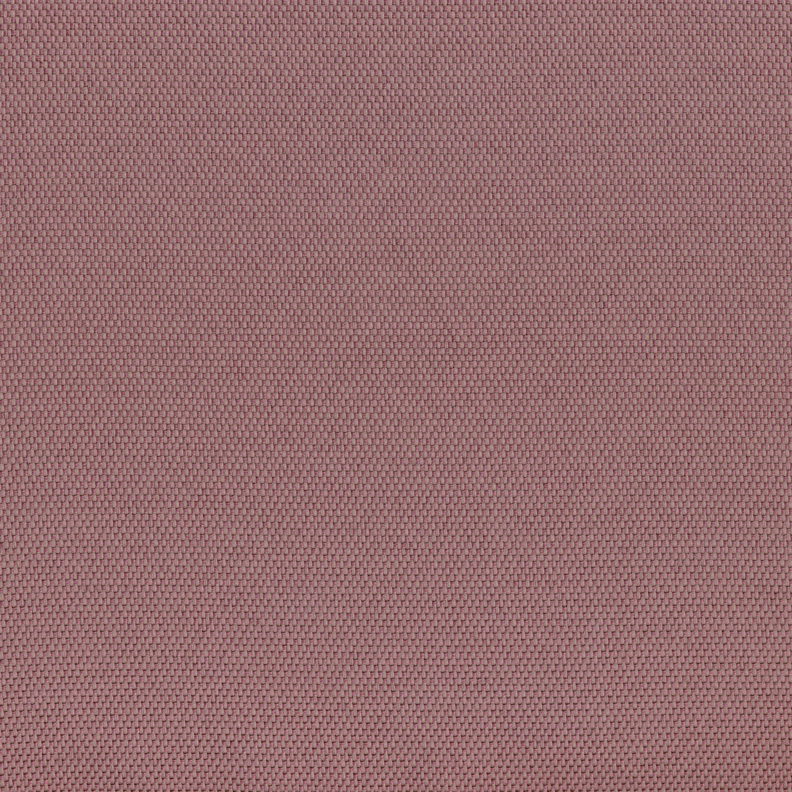 Lilac 27 | Hillary
