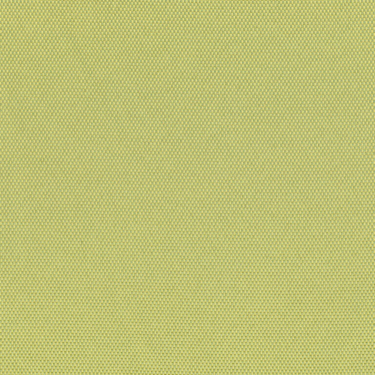 Lime 41
